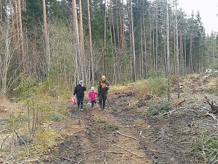Märjamaa naiskodukaitsjad pidasid metsaistutustalguid